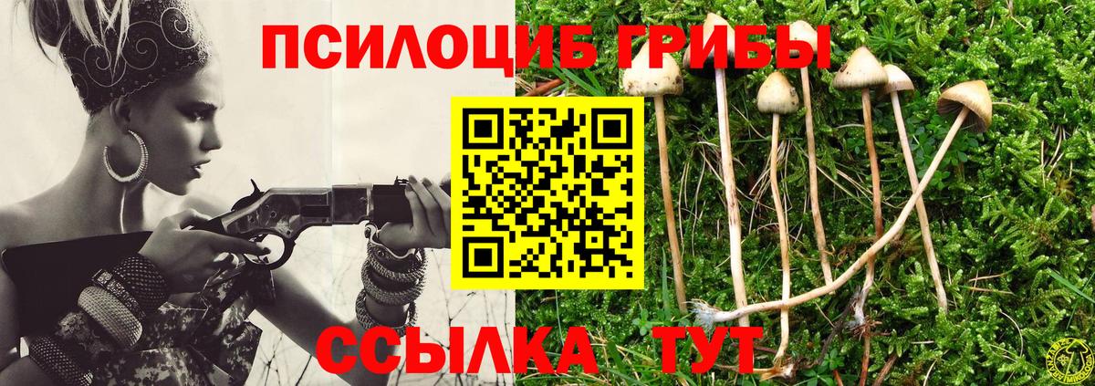 Галлюциногенные грибы Cubensis  Вход с VPN  Алексеевка  Псилоцибиновые грибы GOLDEN TEACHER 